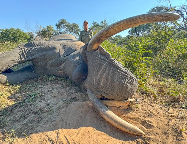 zimbabwe-115