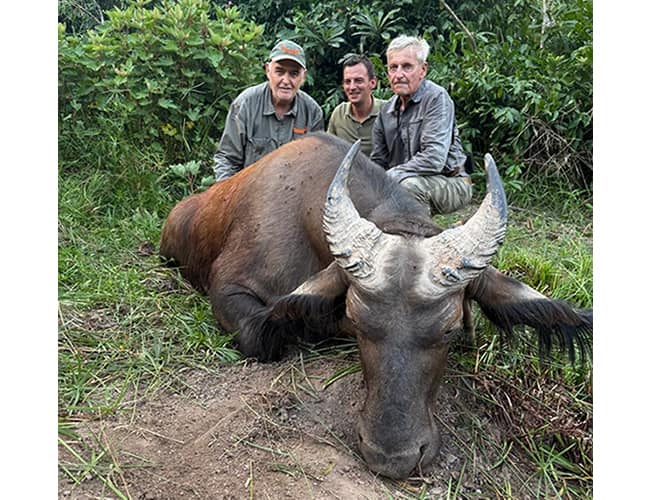 cameroon-66