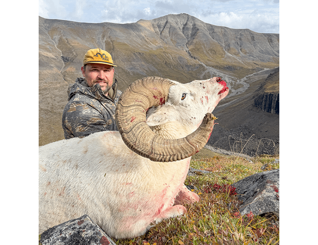 nwt-28