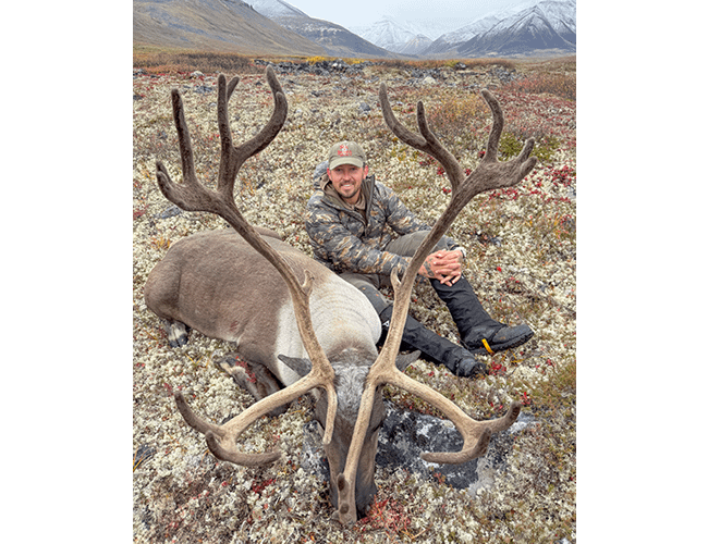 nwt-30