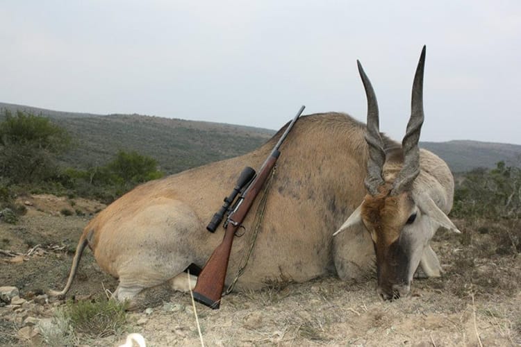 south-africa-11