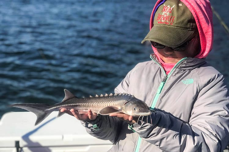 bc-sturgeon-35
