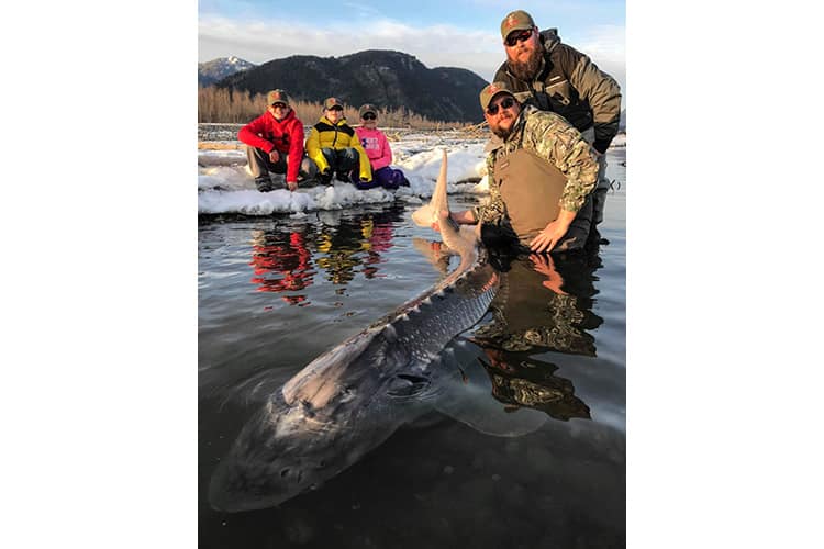 bc-sturgeon-37
