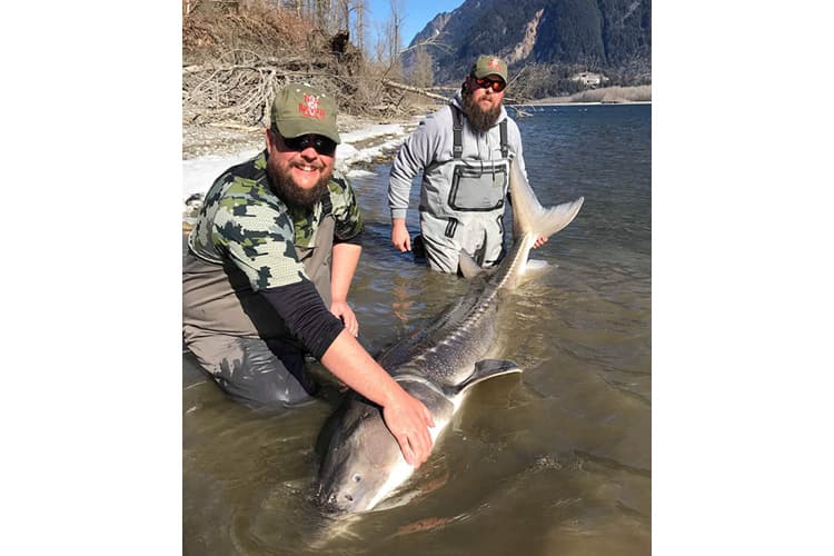 bc-sturgeon-39