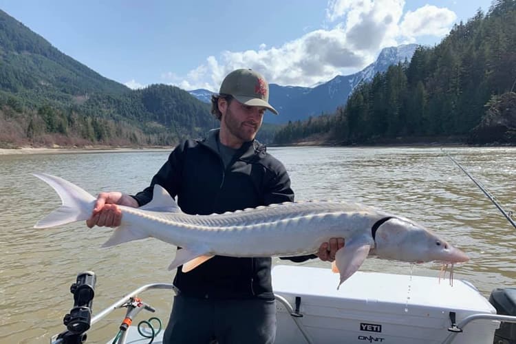 bc-sturgeon-49