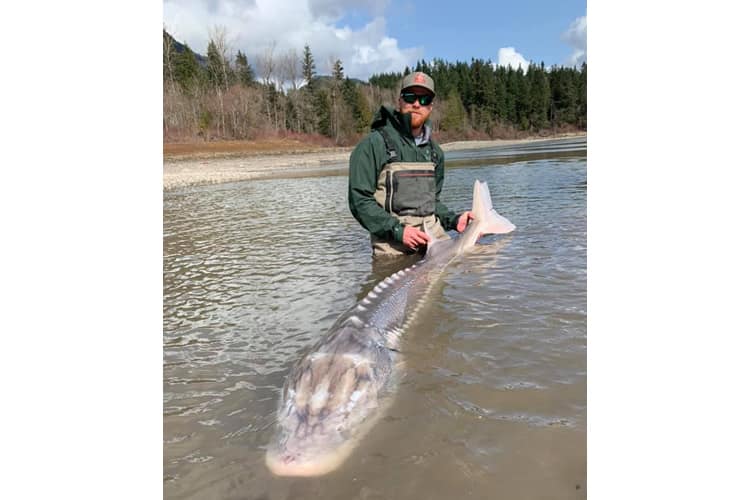 bc-sturgeon-53