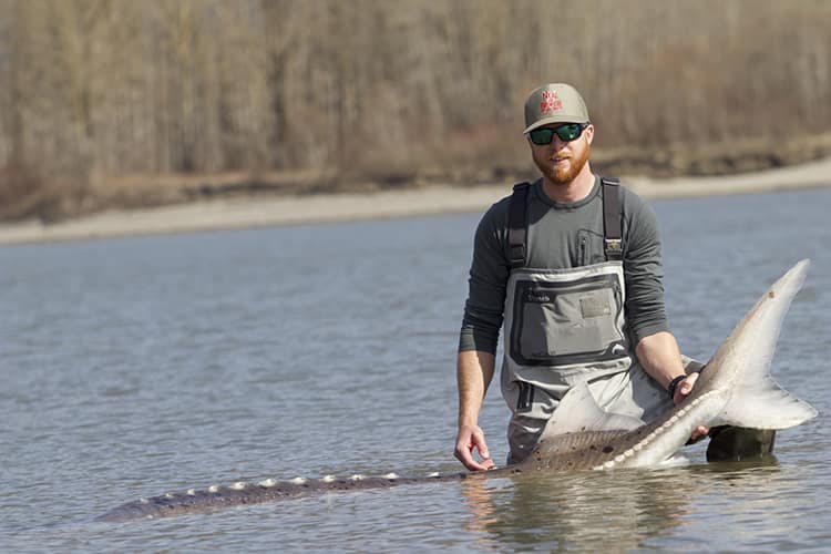 bc-sturgeon-55