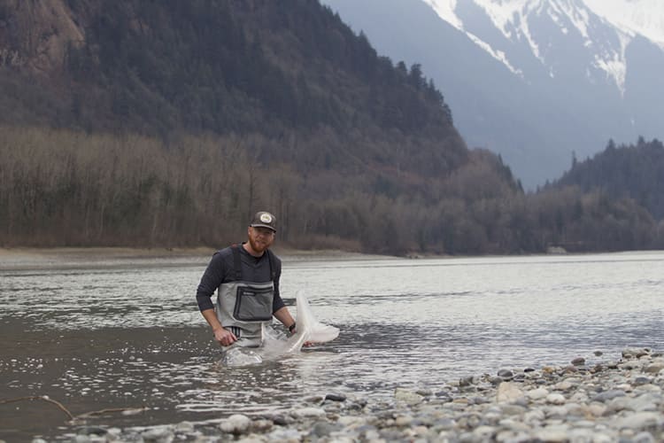 bc-sturgeon-56