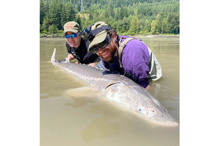 bc-sturgeon-62