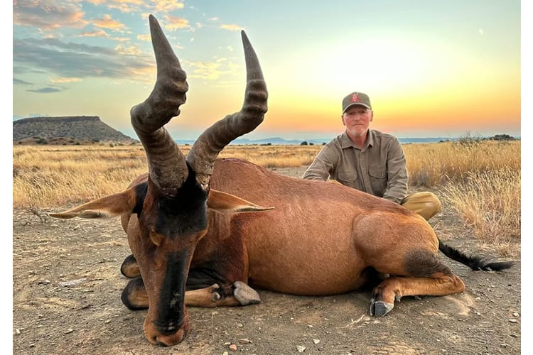 south-africa-247