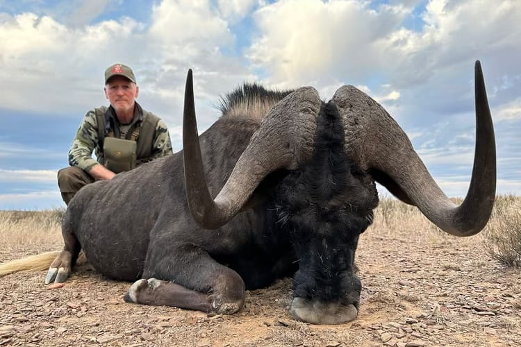 south-africa-250