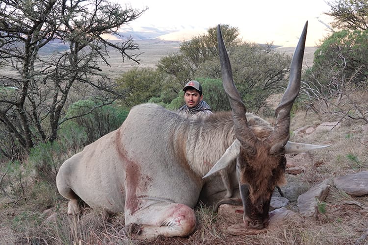 south-africa-399