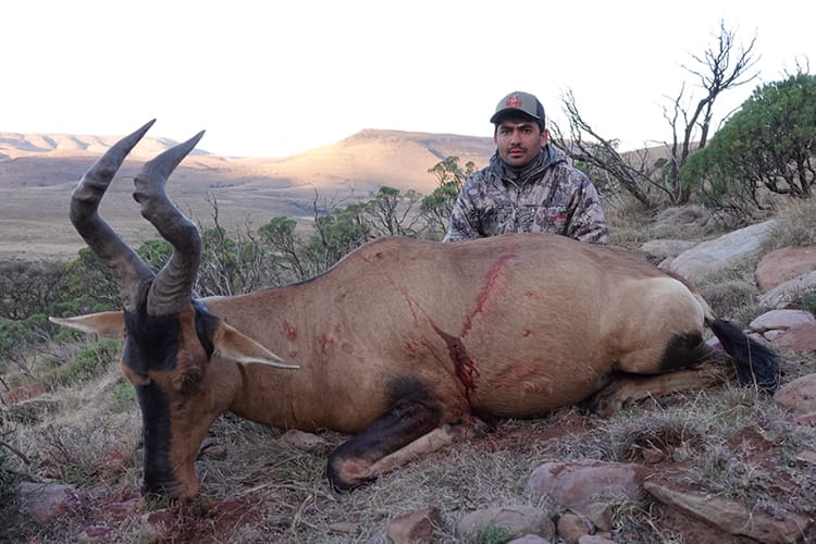 south-africa-402