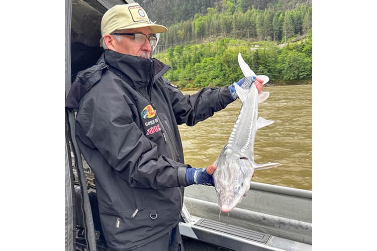 bc-sturgeon-68