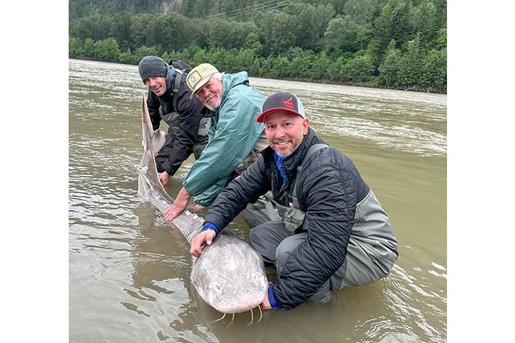 bc-sturgeon-70