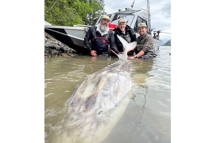 bc-sturgeon-74