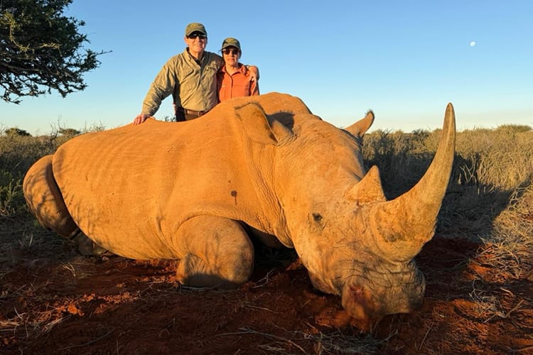 south-africa-480