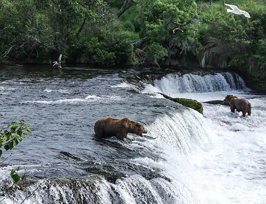 alaska-fishing-14